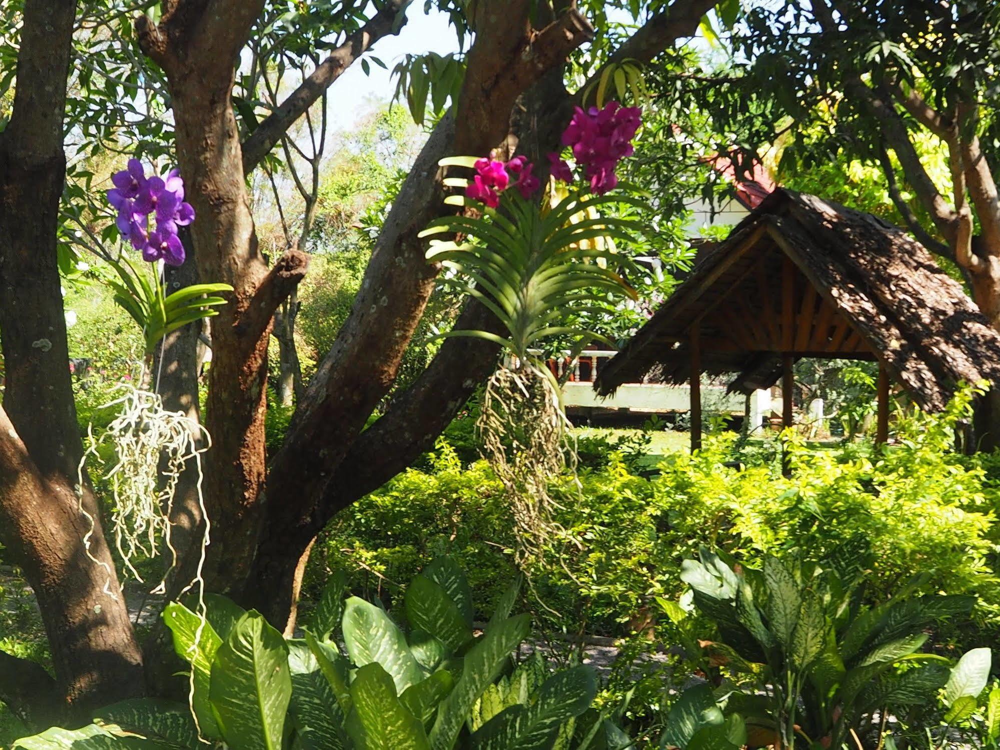 Thai-Bamboo Guesthouse Resort Cha-Am Exterior photo